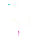 81